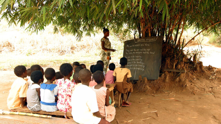 Kids learning in an outdoor classroom under a tree with a large chalkboard.